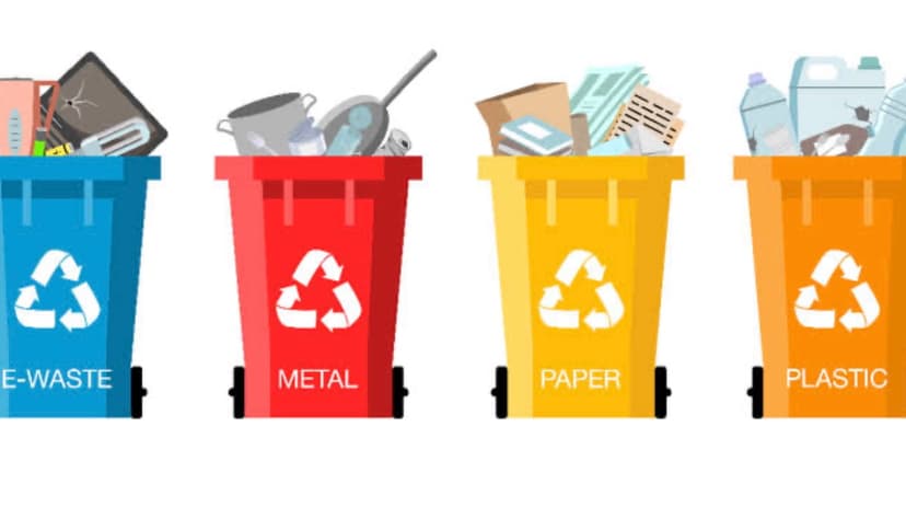 waste management system