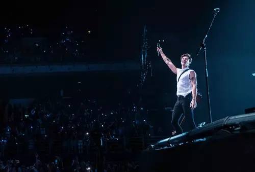 malaysian share how she was scammed into buying fake shawn mendes tickets world of buzz 3